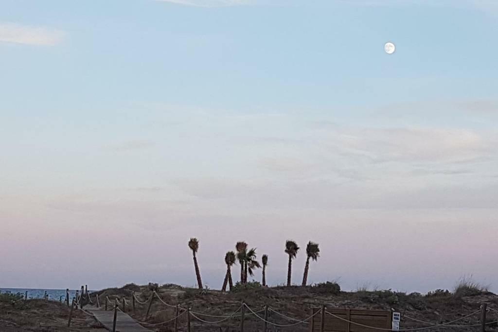 Vacaciones Canet Playa Leilighet Canet d'En Berenguer Eksteriør bilde